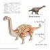 Beyond280 Dinosaur Puzzle Tyrannosaurus Triceratops Deinonychus Brontosaurus Educational Toy 3D Wooden Assembly Puzzles Children Learning Toy Adult Puzzle | Pack of 4 B07ML54B6F